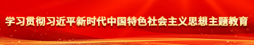 大鸡巴操美穴的视频免费看学习贯彻习近平新时代中国特色社会主义思想主题教育